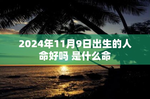 2025年11月9日出生的人命好吗 是什么命