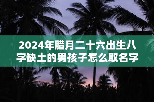 2025年腊月二十六出生八字缺土的男孩子怎么取名字