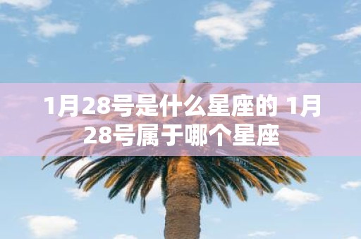 1月28号是什么星座的 1月28号属于哪个星座