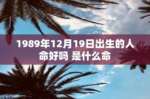 1989年12月19日出生的人命好吗 是什么命
