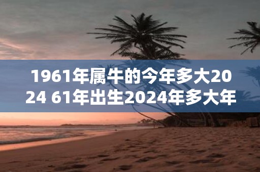 1961年属牛的今年多大2025 61年出生2025年多大年龄