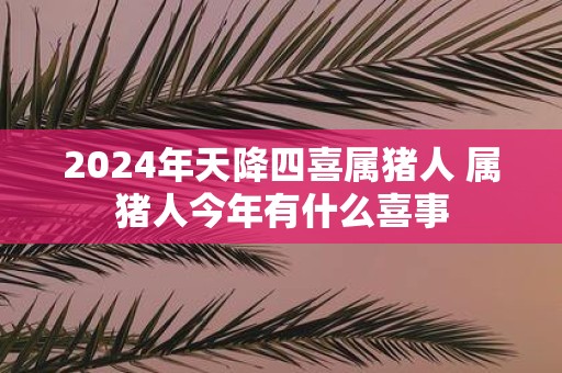 2025年天降四喜属猪人 属猪人今年有什么喜事