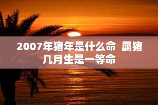 2007年猪年是什么命 属猪几月生是一等命