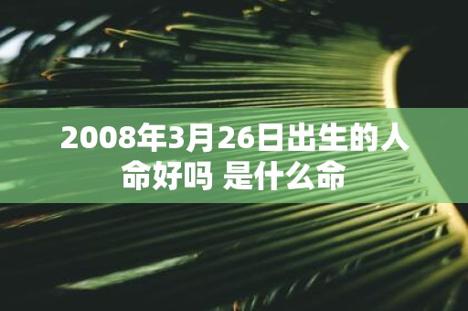 2008年3月26日出生的人命好吗 是什么命