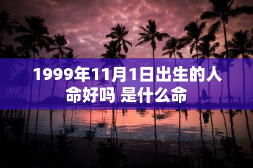 1999年11月1日出生的人命好吗 是什么命