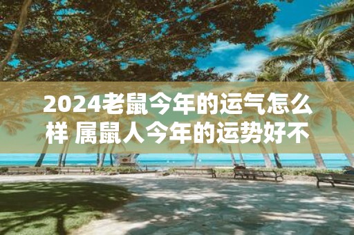 2025老鼠今年的运气怎么样 属鼠人今年的运势好不好