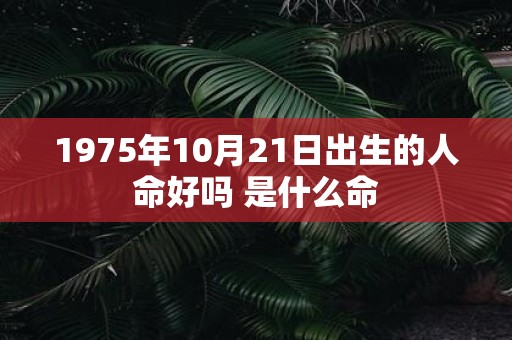 1975年10月21日出生的人命好吗 是什么命