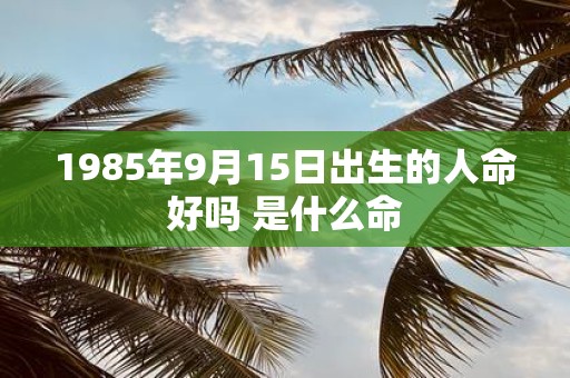 1985年9月15日出生的人命好吗 是什么命