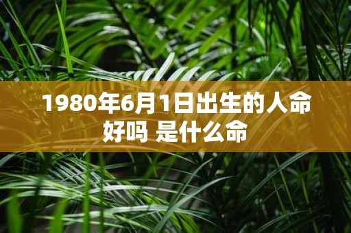 1980年6月1日出生的人命好吗 是什么命