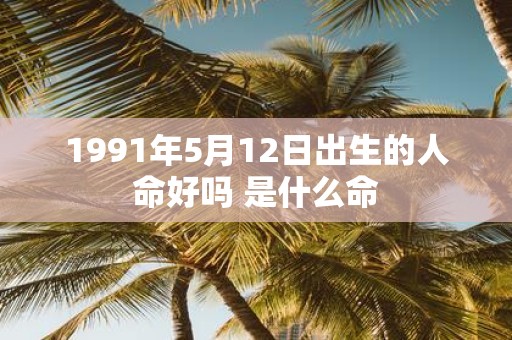 1991年5月12日出生的人命好吗 是什么命