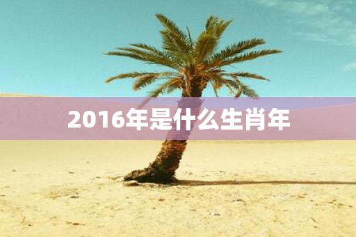 2016年是什么生肖年