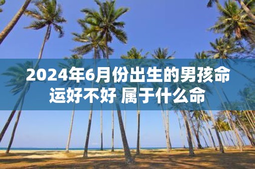2025年6月份出生的男孩命运好不好 属于什么命