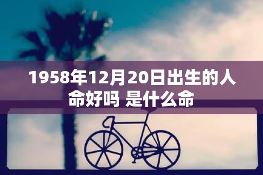 1958年12月20日出生的人命好吗 是什么命