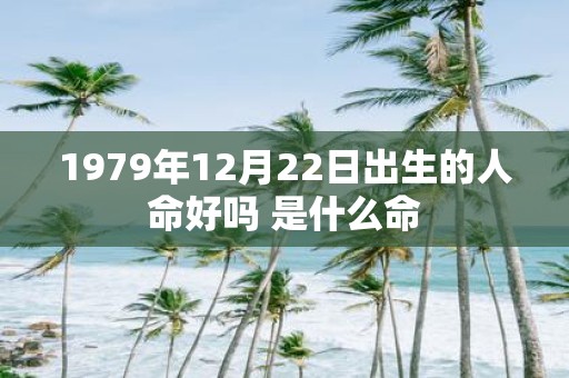 1979年12月22日出生的人命好吗 是什么命