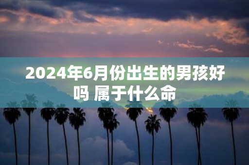 2025年6月份出生的男孩好吗 属于什么命