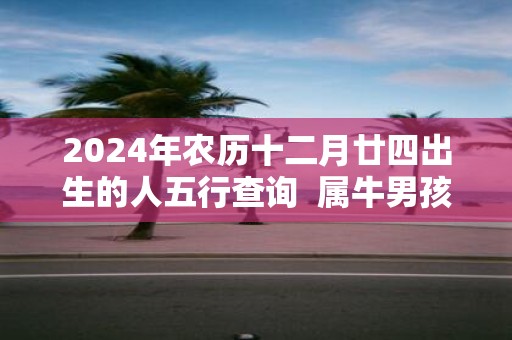 2025年农历十二月廿四出生的人五行查询 属牛男孩取名