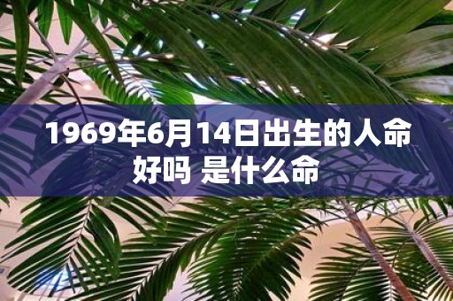 1969年6月14日出生的人命好吗 是什么命