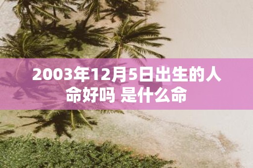 2003年12月5日出生的人命好吗 是什么命