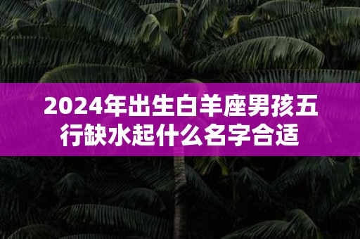 2025年出生白羊座男孩五行缺水起什么名字合适