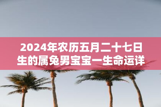 2025年农历五月二十七日生的属兔男宝宝一生命运详解