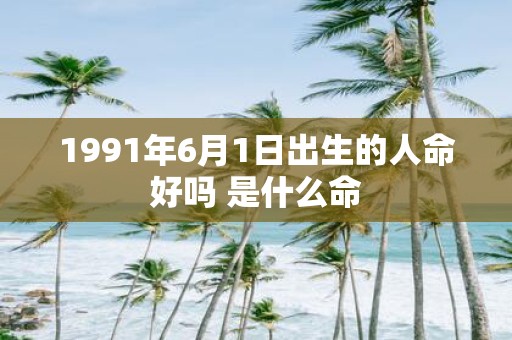 1991年6月1日出生的人命好吗 是什么命