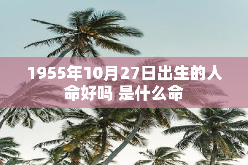 1955年10月27日出生的人命好吗 是什么命