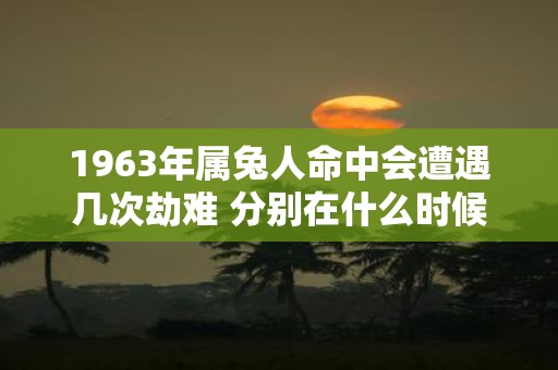 1963年属兔人命中会遭遇几次劫难 分别在什么时候