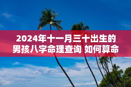 2025年十一月三十出生的男孩八字命理查询 如何算命