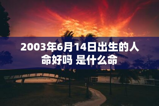2003年6月14日出生的人命好吗 是什么命