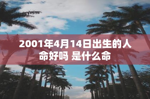 2001年4月14日出生的人命好吗 是什么命
