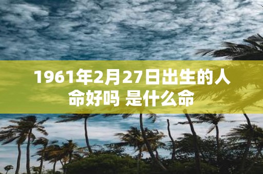 1961年2月27日出生的人命好吗 是什么命