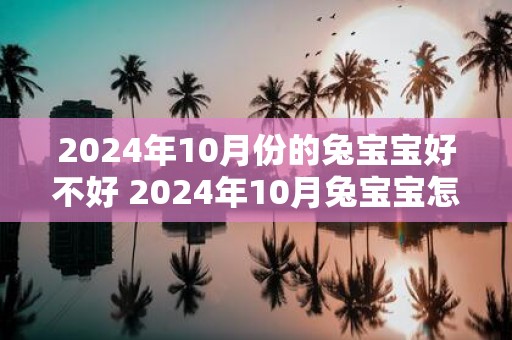 2025年10月份的兔宝宝好不好 2025年10月兔宝宝怎么样