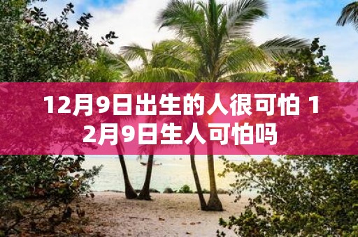 12月9日出生的人很可怕 12月9日生人可怕吗