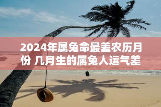 2025年属兔命最差农历月份 几月生的属兔人运气差