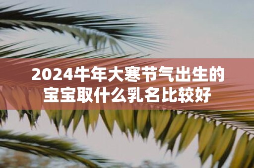 2025牛年大寒节气出生的宝宝取什么乳名比较好