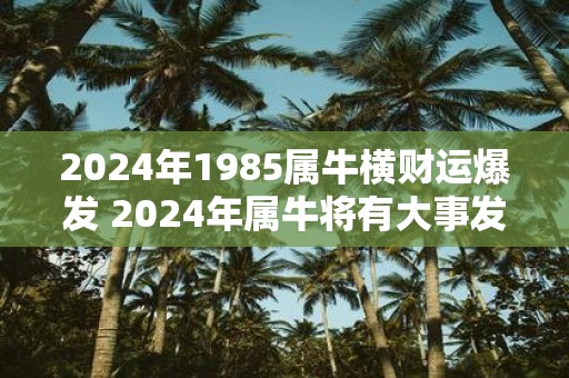 2025年1985属牛横财运爆发 2025年属牛将有大事发生吗