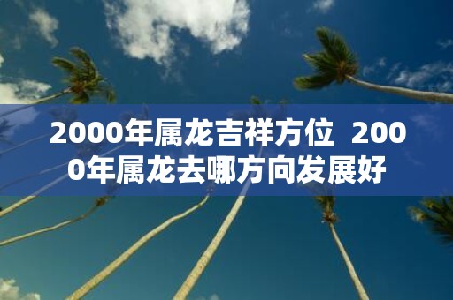 2000年属龙吉祥方位 2000年属龙去哪方向发展好