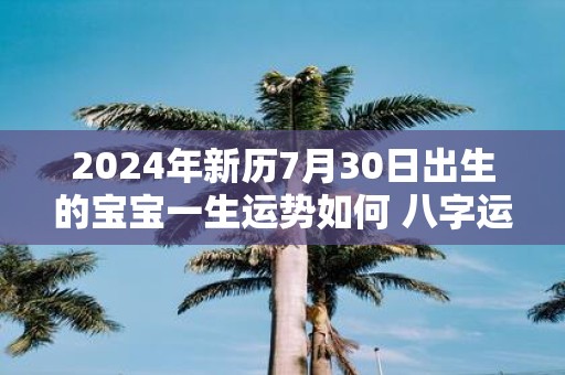 2025年新历7月30日出生的宝宝一生运势如何 八字运势详解