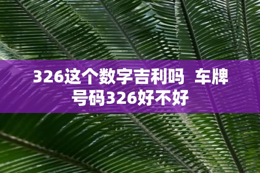 326这个数字吉利吗 车牌号码326好不好