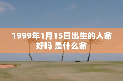 1999年1月15日出生的人命好吗 是什么命