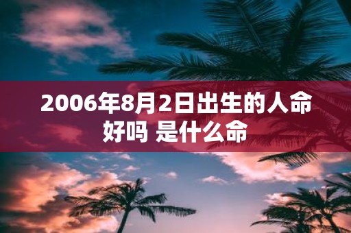 2006年8月2日出生的人命好吗 是什么命