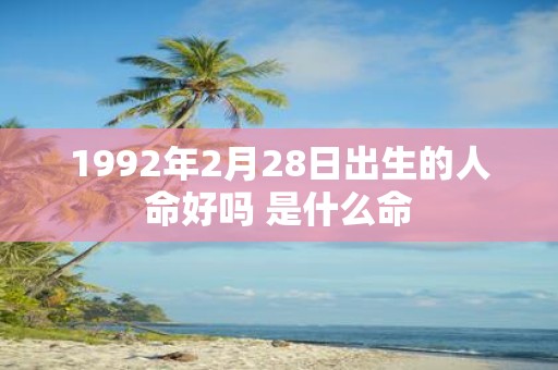 1992年2月28日出生的人命好吗 是什么命