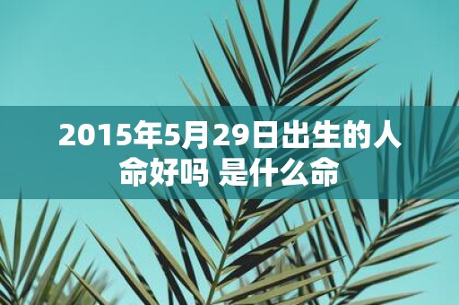 2015年5月29日出生的人命好吗 是什么命