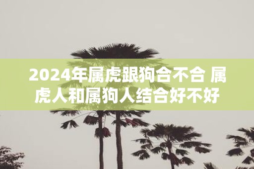 2025年属虎跟狗合不合 属虎人和属狗人结合好不好