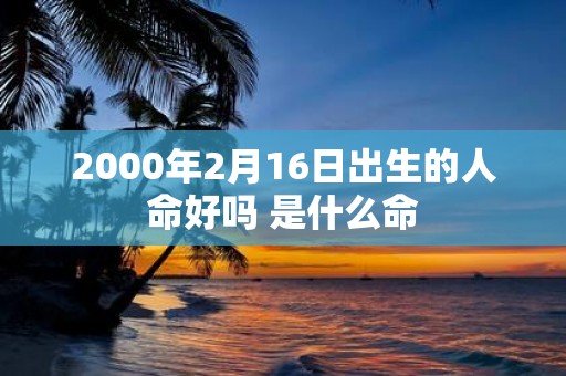 2000年2月16日出生的人命好吗 是什么命
