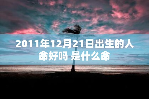 2011年12月21日出生的人命好吗 是什么命