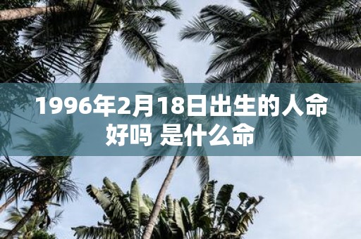 1996年2月18日出生的人命好吗 是什么命
