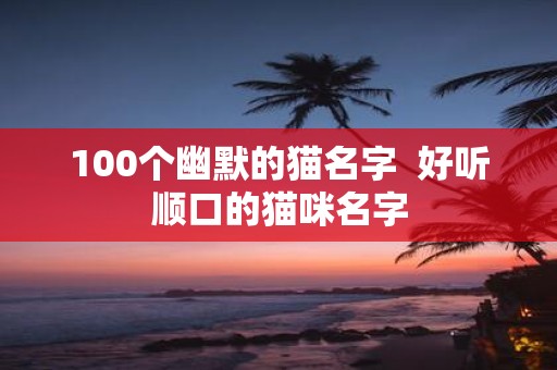 100个幽默的猫名字 好听顺口的猫咪名字