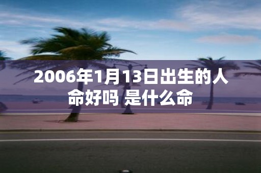 2006年1月13日出生的人命好吗 是什么命