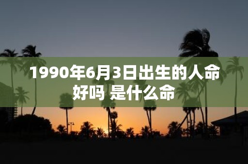1990年6月3日出生的人命好吗 是什么命